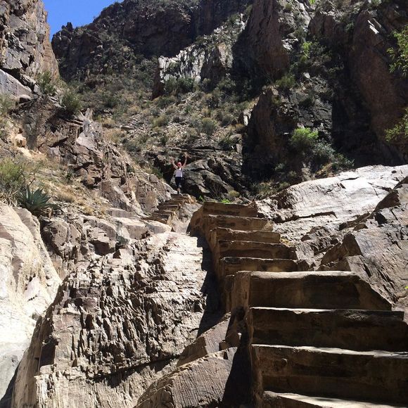 Meet your Posher, Mallory - Picture 1 of 1